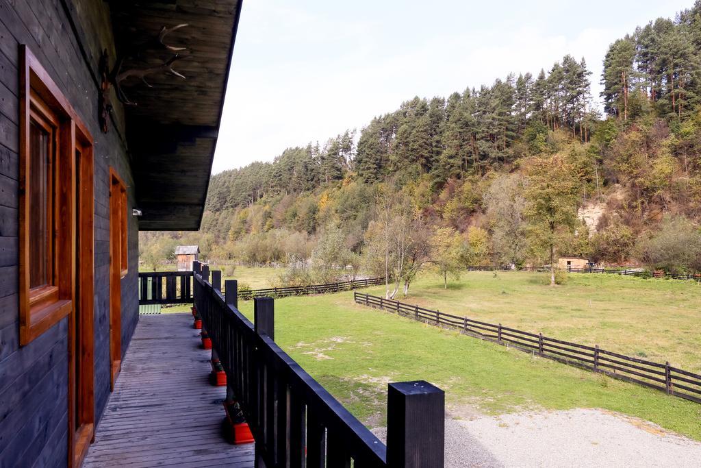 Landhaus Bed&Breakfast Viseu de Sus Luaran gambar
