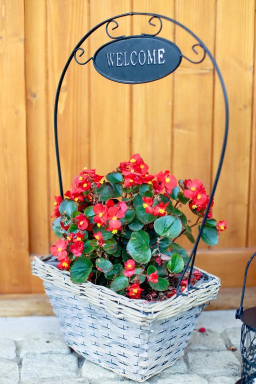 Landhaus Bed&Breakfast Viseu de Sus Luaran gambar